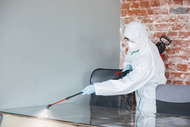 Best Mold Prevention Services in Damascus, MD